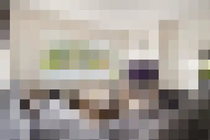 Landschrijversveld 306 Uden thumbnail 11