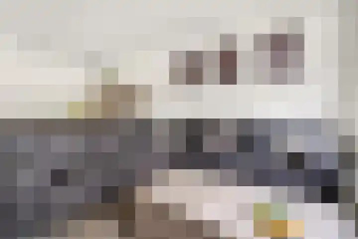 Landschrijversveld 306 Uden thumbnail 13