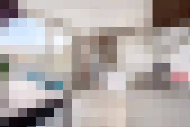 Landschrijversveld 306 Uden thumbnail 16