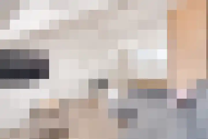 Landschrijversveld 306 Uden thumbnail 34