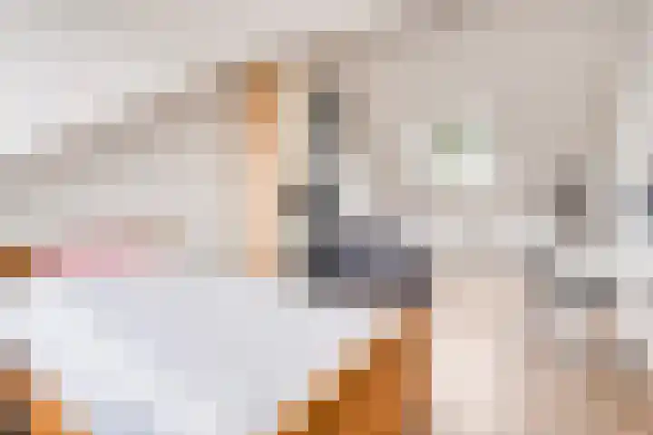 Landschrijversveld 306 Uden thumbnail 36