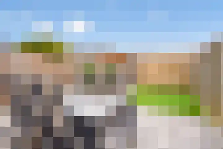 Landschrijversveld 306 Uden thumbnail 38