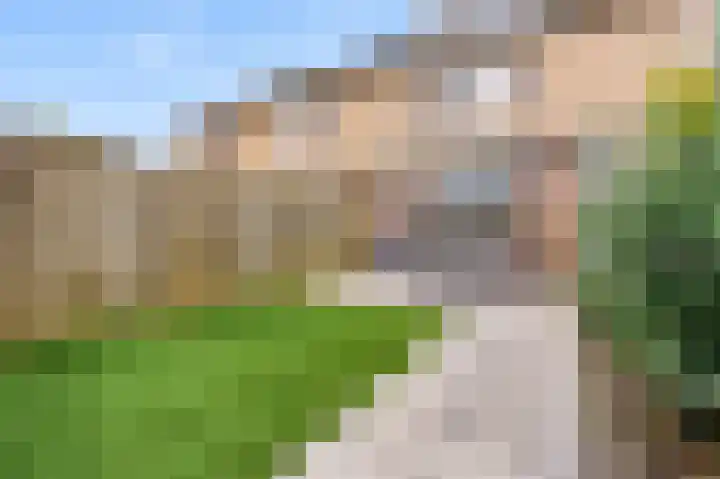 Landschrijversveld 306 Uden thumbnail 39