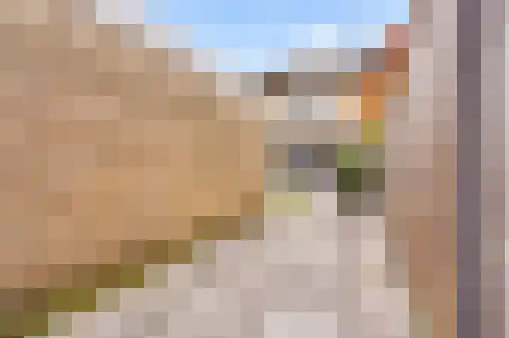 Landschrijversveld 306 Uden thumbnail 41
