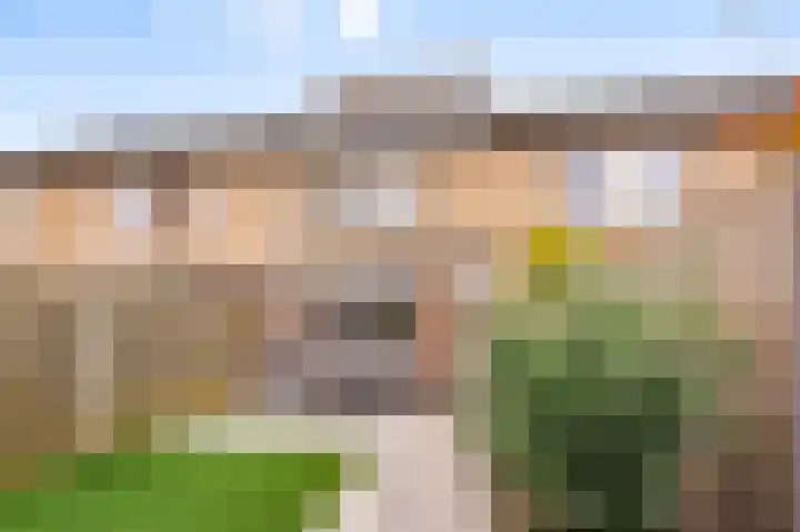 Landschrijversveld 306 Uden thumbnail 42