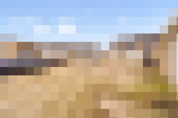 Landschrijversveld 306 Uden thumbnail 45