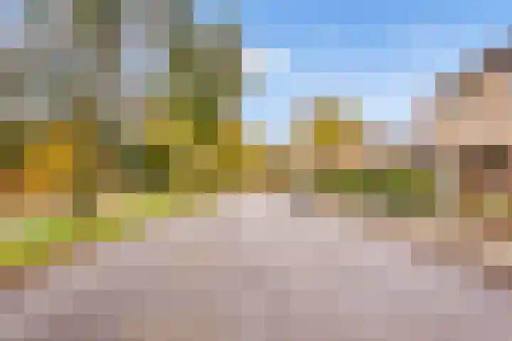 Landschrijversveld 306 Uden thumbnail 47