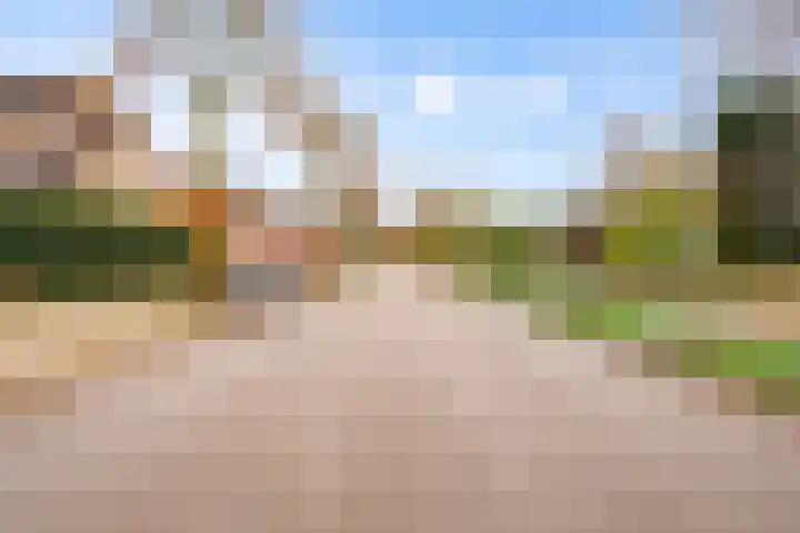 Landschrijversveld 306 Uden thumbnail 48