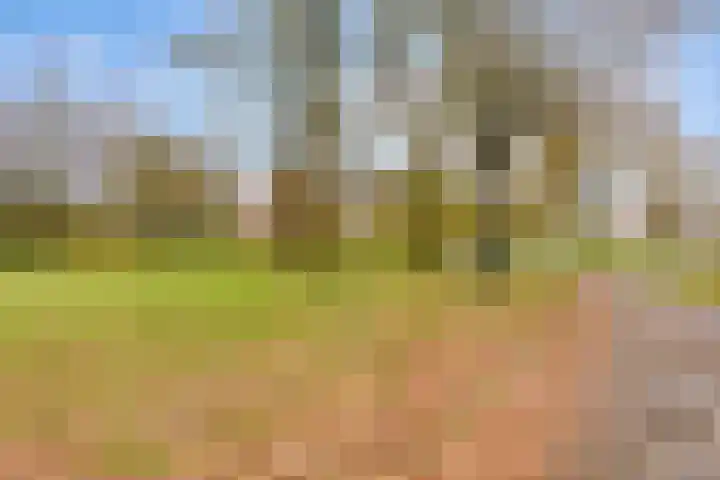 Landschrijversveld 306 Uden thumbnail 49