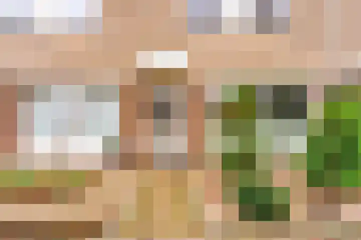 Landschrijversveld 306 Uden thumbnail 5