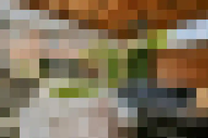 Landscronerlaan 119 Weesp thumbnail 14
