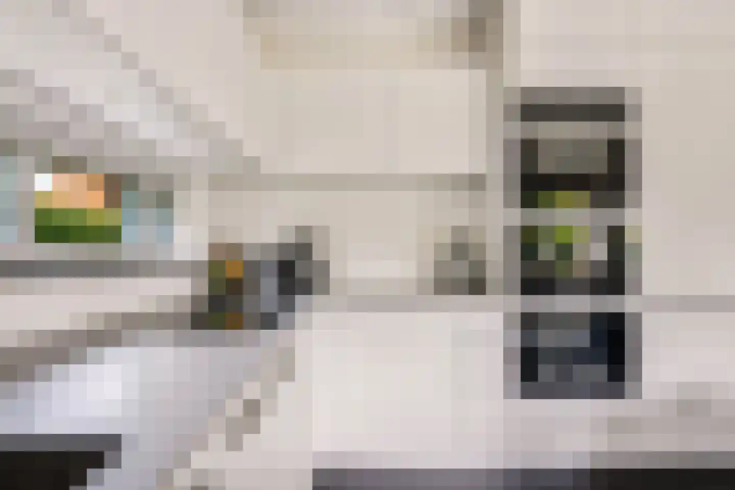 Landseindestraat 13 Zwolle thumbnail 16