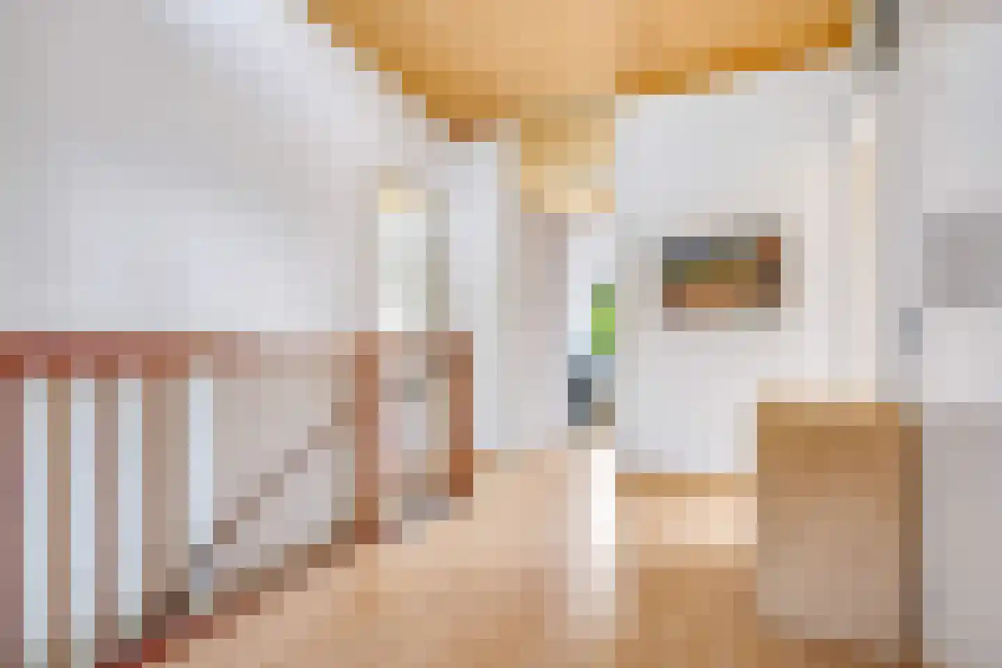 Landseindestraat 13 Zwolle thumbnail 18