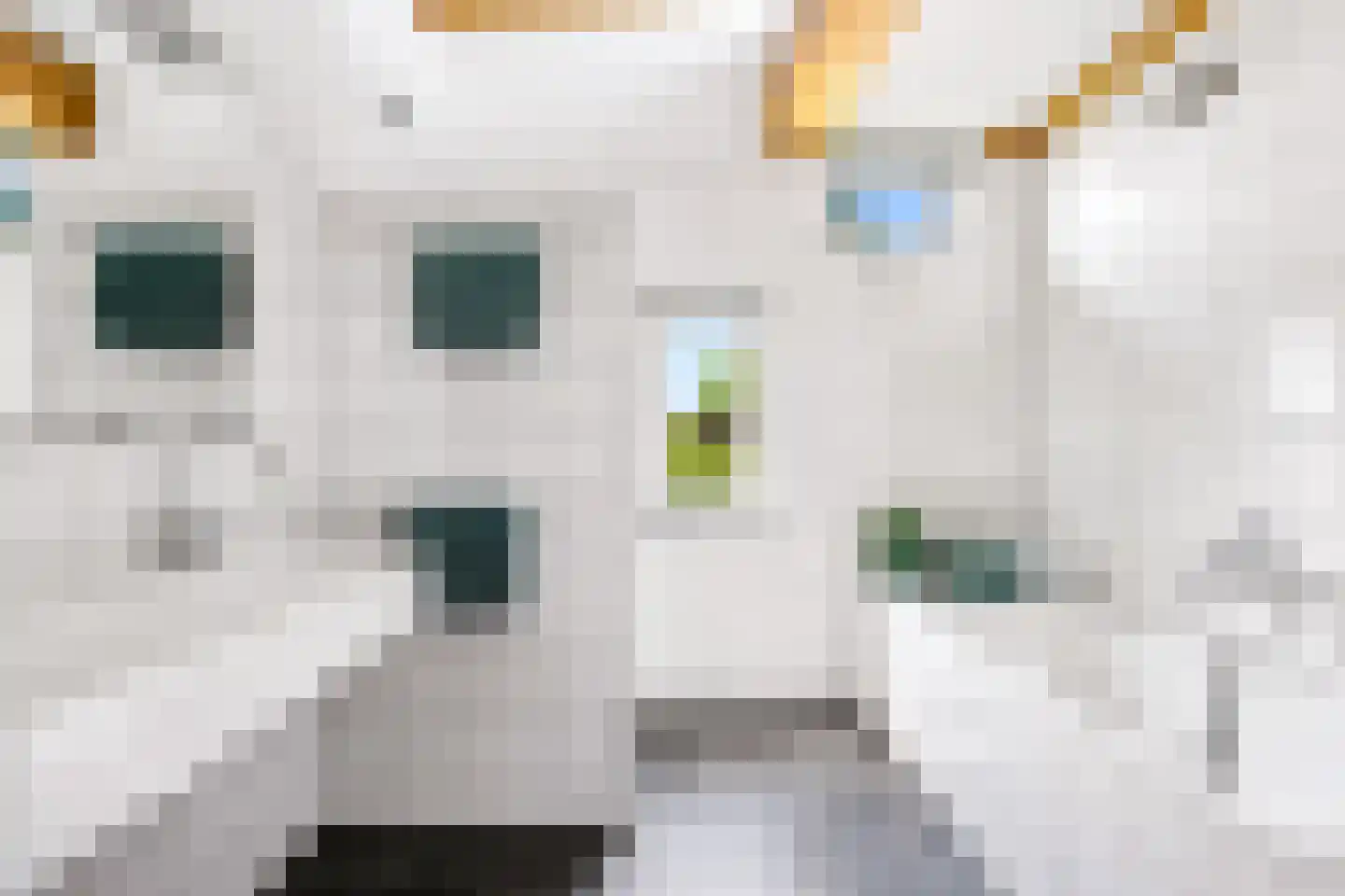 Landseindestraat 13 Zwolle thumbnail 31