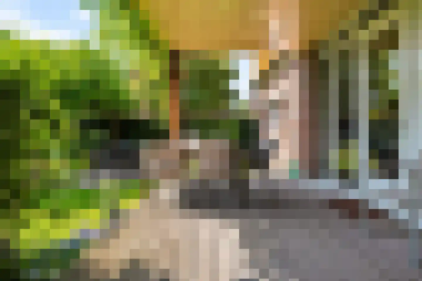 Landseindestraat 13 Zwolle thumbnail 36