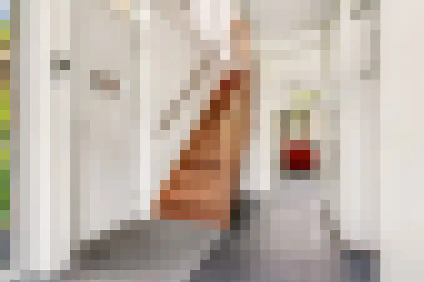 Landseindestraat 13 Zwolle thumbnail 7