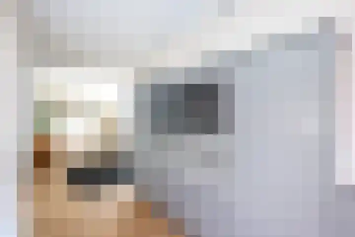 Landsheerlaan 161 Zwolle thumbnail 11