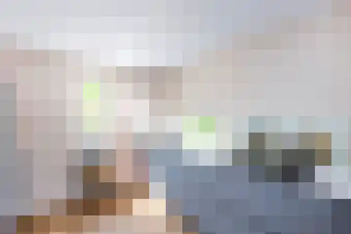 Landsheerlaan 161 Zwolle thumbnail 12