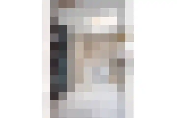Landsheerlaan 161 Zwolle thumbnail 14