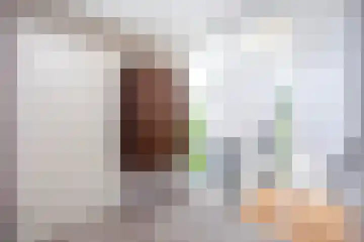 Landsheerlaan 161 Zwolle thumbnail 17