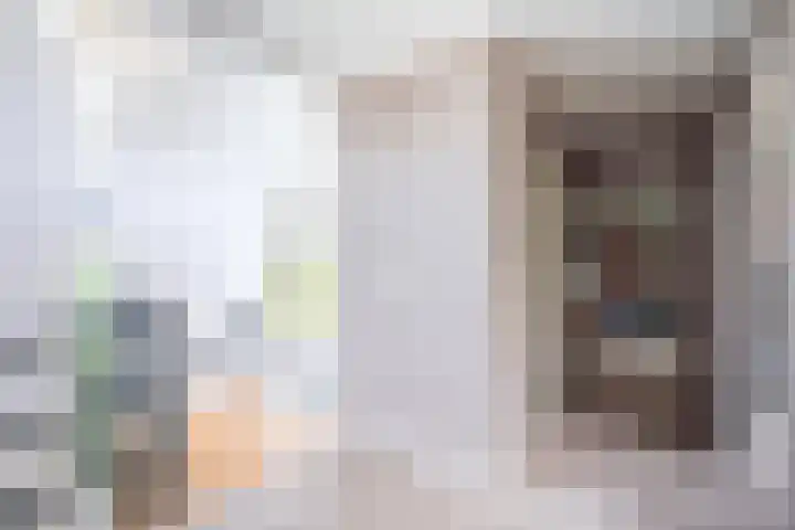 Landsheerlaan 161 Zwolle thumbnail 18