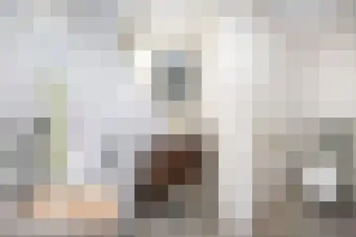 Landsheerlaan 161 Zwolle thumbnail 19
