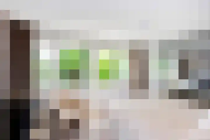 Landsheerlaan 161 Zwolle thumbnail 20