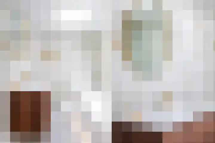 Landsheerlaan 161 Zwolle thumbnail 23