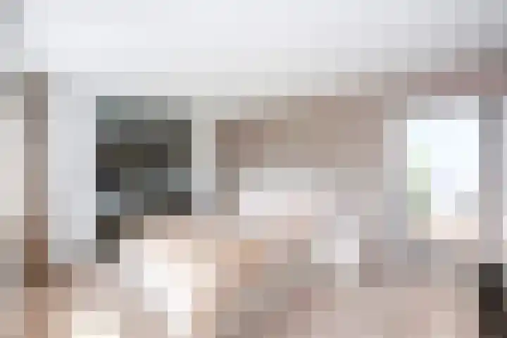 Landsheerlaan 161 Zwolle thumbnail 24