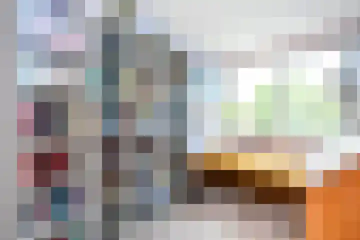 Landsheerlaan 161 Zwolle thumbnail 26