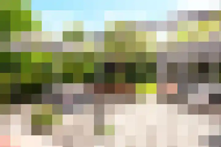 Landsheerlaan 161 Zwolle thumbnail 29