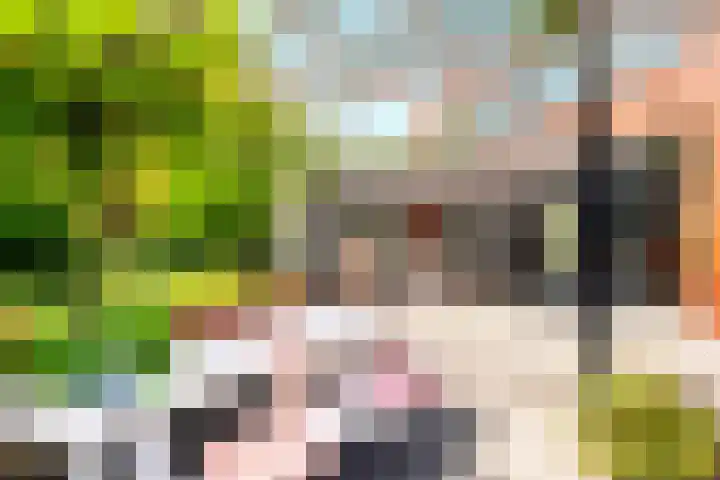 Landsheerlaan 161 Zwolle thumbnail 30