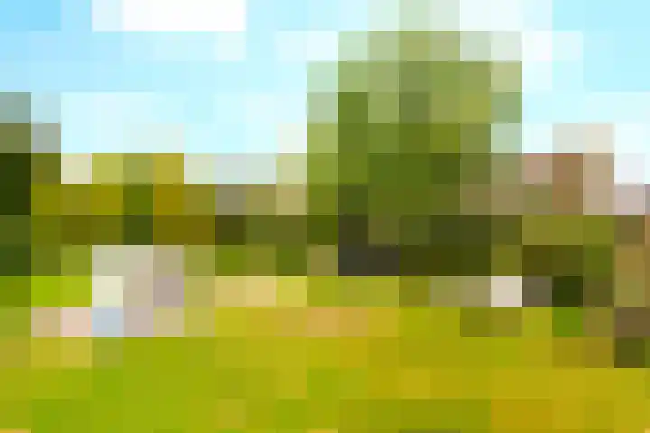 Landsheerlaan 161 Zwolle thumbnail 31