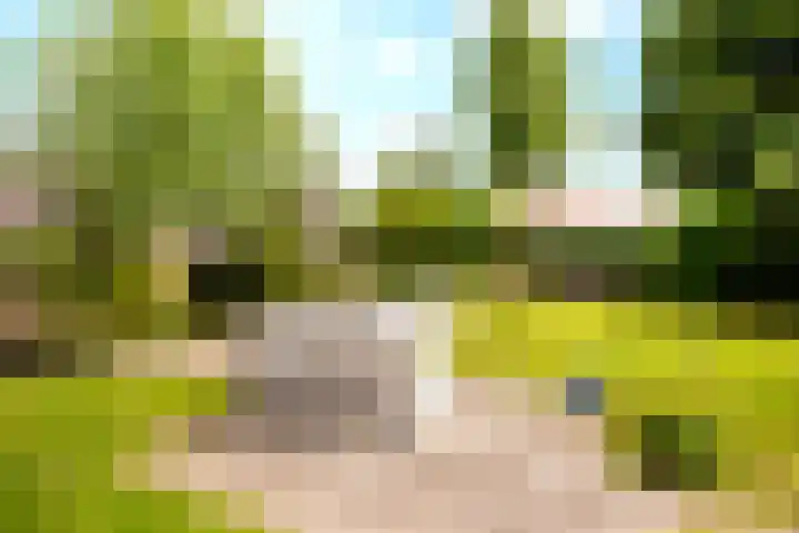 Landsheerlaan 161 Zwolle thumbnail 32