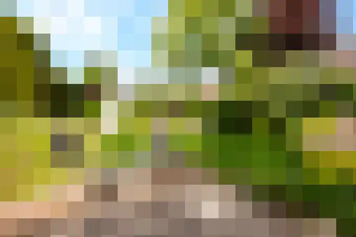 Landsheerlaan 161 Zwolle thumbnail 33