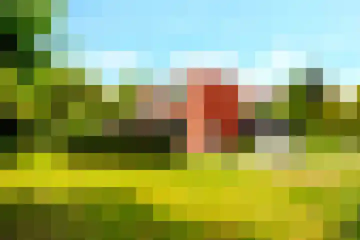 Landsheerlaan 161 Zwolle thumbnail 34