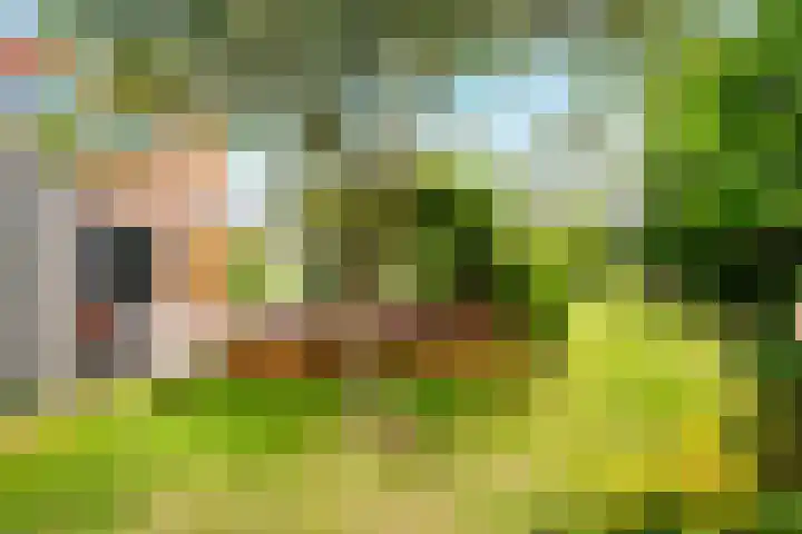 Landsheerlaan 161 Zwolle thumbnail 35