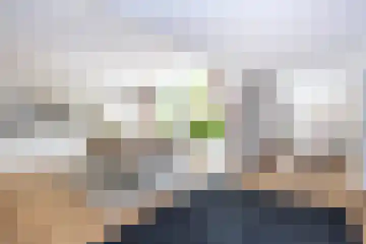 Landsheerlaan 161 Zwolle thumbnail 4