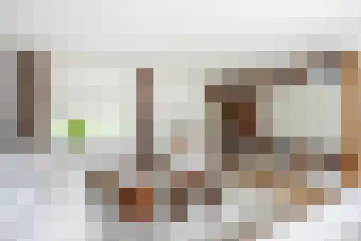 Landsheerlaan 161 Zwolle thumbnail 5