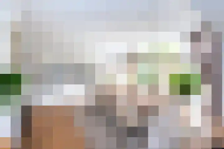 Landsheerlaan 161 Zwolle thumbnail 7