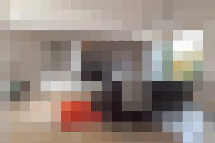 Landsheerlaan 24 Zwolle thumbnail 10