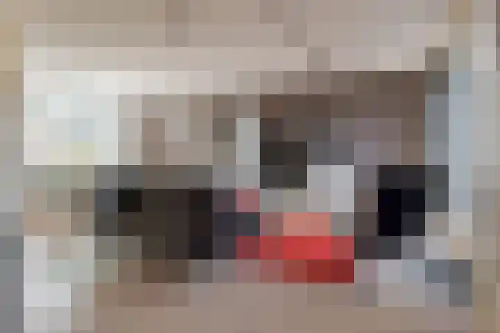 Landsheerlaan 24 Zwolle thumbnail 12