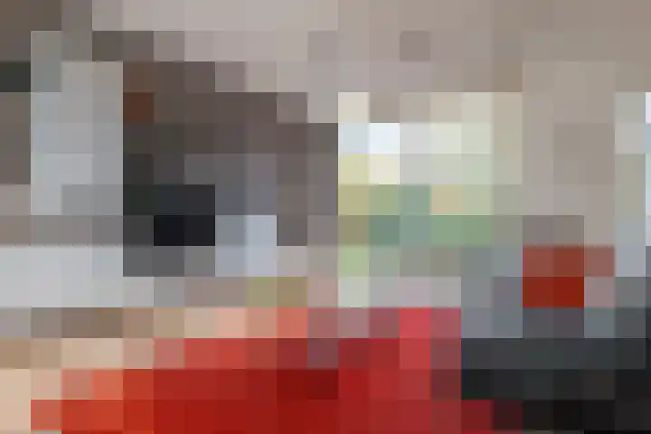 Landsheerlaan 24 Zwolle thumbnail 13