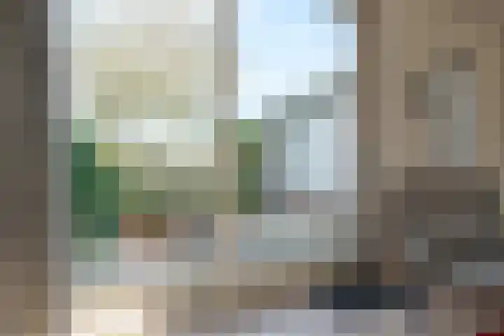 Landsheerlaan 24 Zwolle thumbnail 14