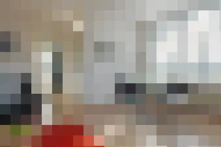 Landsheerlaan 24 Zwolle thumbnail 16