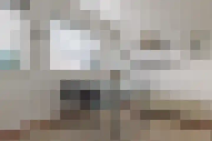 Landsheerlaan 24 Zwolle thumbnail 20