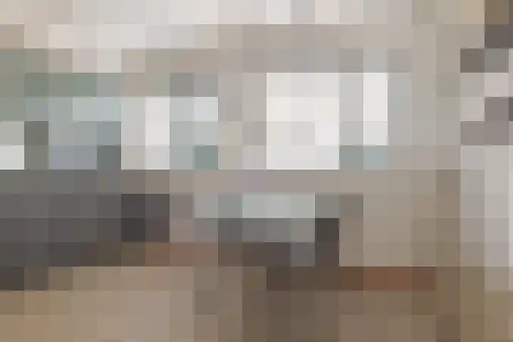 Landsheerlaan 24 Zwolle thumbnail 21