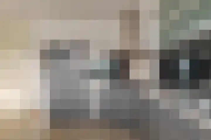 Landsheerlaan 24 Zwolle thumbnail 23