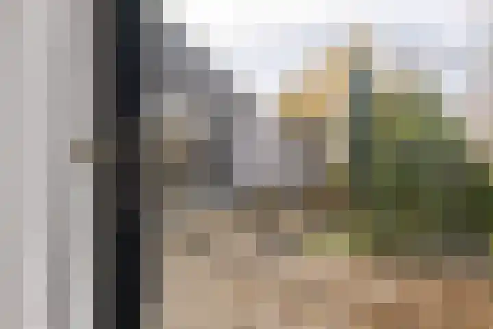 Landsheerlaan 24 Zwolle thumbnail 26