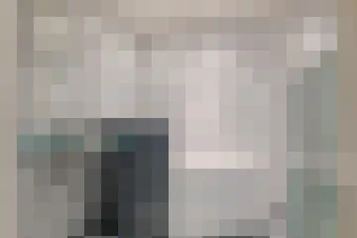 Landsheerlaan 24 Zwolle thumbnail 30